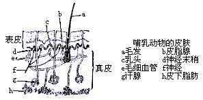 丁香实验推荐阅读