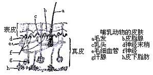 丁香实验推荐阅读