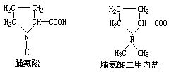 丁香实验推荐阅读