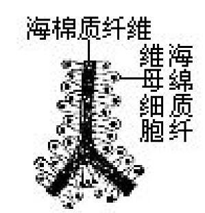 丁香实验推荐阅读