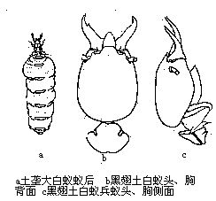 丁香实验推荐阅读