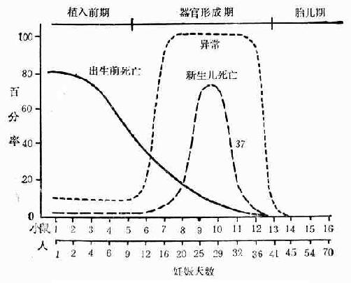 丁香实验推荐阅读