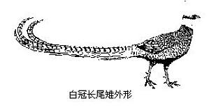 丁香实验推荐阅读