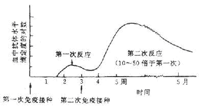 丁香实验推荐阅读