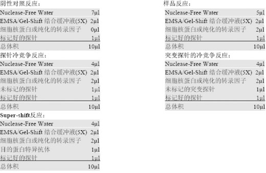 丁香实验推荐阅读