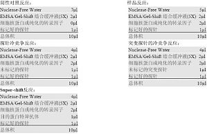 丁香实验推荐阅读