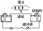 丁香实验推荐阅读