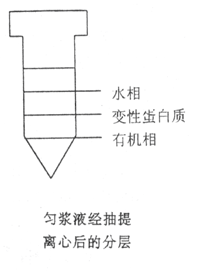 丁香实验推荐阅读