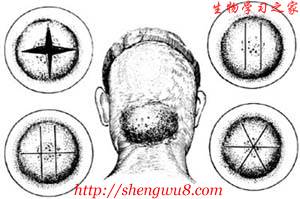 丁香实验推荐阅读