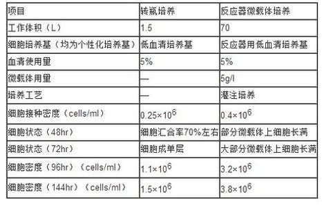 丁香实验推荐阅读