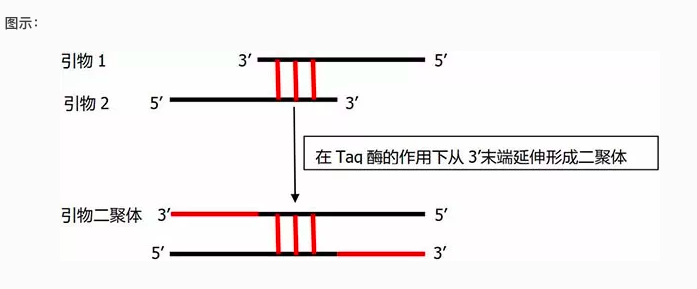 丁香实验推荐阅读