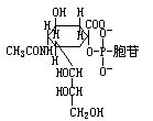 丁香实验推荐阅读