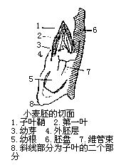 丁香实验推荐阅读