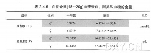 丁香实验推荐阅读