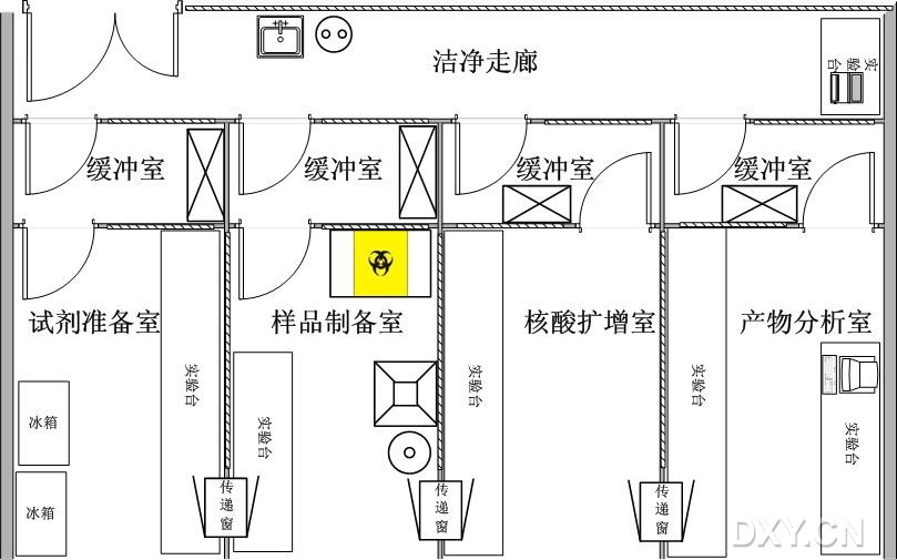 丁香实验推荐阅读