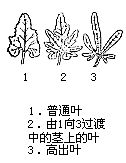 丁香实验推荐阅读