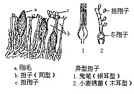 丁香实验推荐阅读