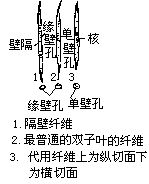 丁香实验推荐阅读