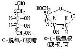 丁香实验推荐阅读