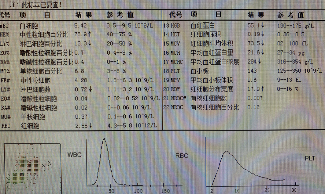 丁香实验推荐阅读