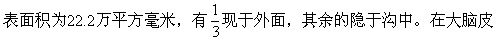 丁香实验推荐阅读
