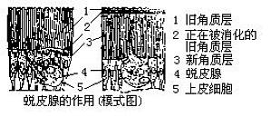 丁香实验推荐阅读