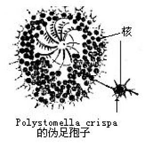 丁香实验推荐阅读