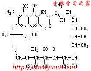 丁香实验推荐阅读