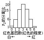 丁香实验推荐阅读