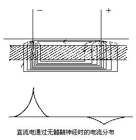 丁香实验推荐阅读