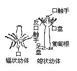 丁香实验推荐阅读