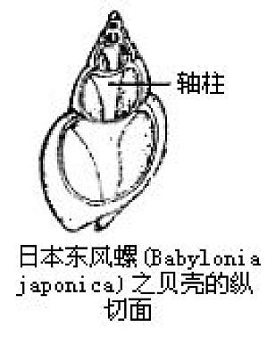 丁香实验推荐阅读