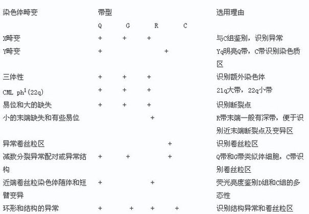 丁香实验推荐阅读