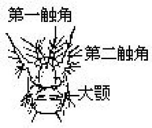 丁香实验推荐阅读