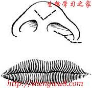 丁香实验推荐阅读