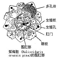 丁香实验推荐阅读