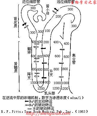 丁香实验推荐阅读