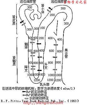 丁香实验推荐阅读