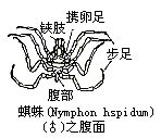 丁香实验推荐阅读