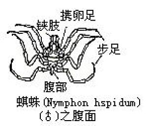 丁香实验推荐阅读