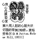 丁香实验推荐阅读