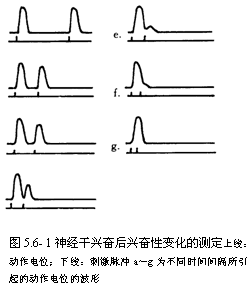 丁香实验推荐阅读