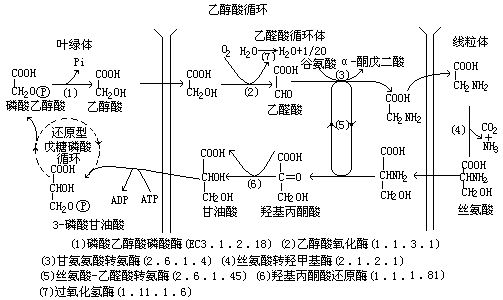 丁香实验推荐阅读