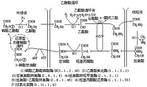 丁香实验推荐阅读