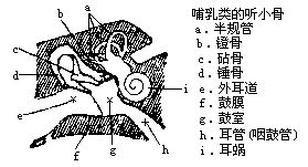 丁香实验推荐阅读