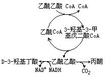 丁香实验推荐阅读