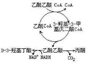 丁香实验推荐阅读
