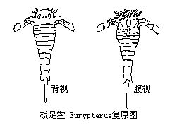 丁香实验推荐阅读