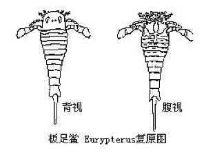 丁香实验推荐阅读