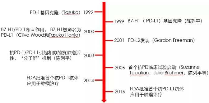 丁香实验推荐阅读